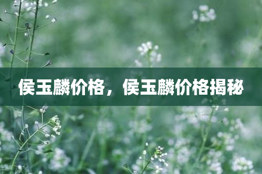 博興的最新招聘信息，博興最新招聘信息匯總