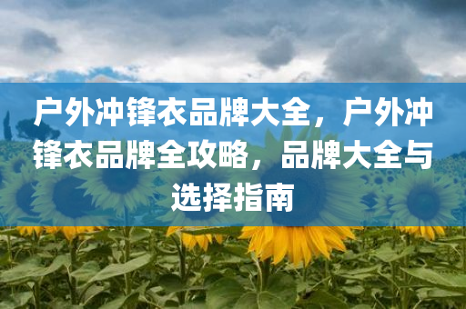 平凱星辰最新動態(tài)，揭秘企業(yè)新戰(zhàn)略布局與發(fā)展前景，平凱星辰新戰(zhàn)略布局曝光，展望未來發(fā)展戰(zhàn)略