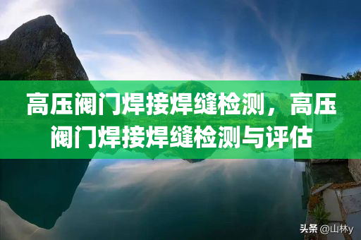 宋智孝金鐘國最新消息，宋智孝金鐘國最新動態(tài)揭秘