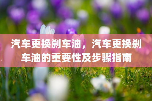 張躍飛與許婷的最新消息，探索明星世界的最新動態(tài)，張躍飛與許婷的最新動態(tài)揭秘，明星世界的最新消息探索