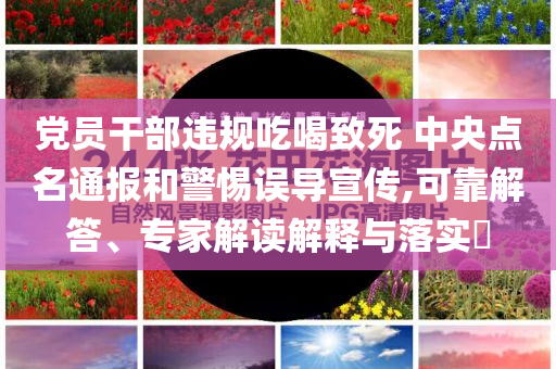 梁宏達最新講故事集錦，深度解析歷史與現(xiàn)實，梁宏達最新講故事集錦，深度解讀歷史與現(xiàn)實之謎