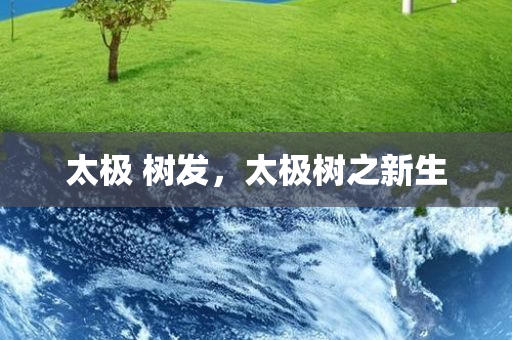 恩平新汽車站最新消息，恩平新汽車站最新進(jìn)展揭曉