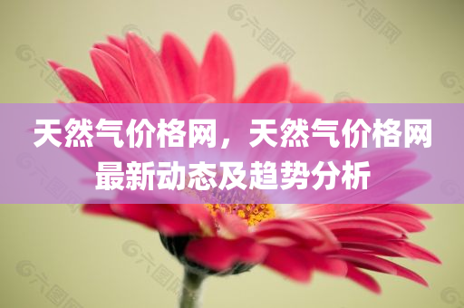 上猶招聘最新招聘信息概覽，上猶最新招聘信息匯總