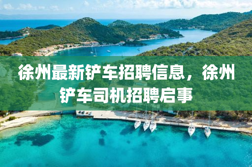徐州最新鏟車招聘信息，徐州鏟車司機招聘啟事