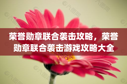 沈陽最新職員招聘動態(tài)，行業(yè)趨勢與人才需求洞察，沈陽最新職員招聘動態(tài)及行業(yè)趨勢人才需求洞察報告