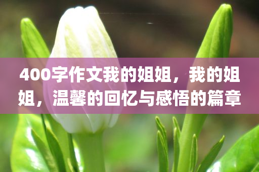 陳化最新視頻掀起熱議，深度解讀背后的故事與啟示，陳化最新視頻熱議，深度解讀背后的故事與啟示影響人心