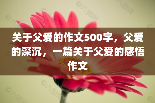 2025全年免費(fèi)資料大全及新奧或香港2025今晚開(kāi)獎(jiǎng)資料技術(shù)釋義、解釋與落實(shí)-留心欺詐誘導(dǎo)手段