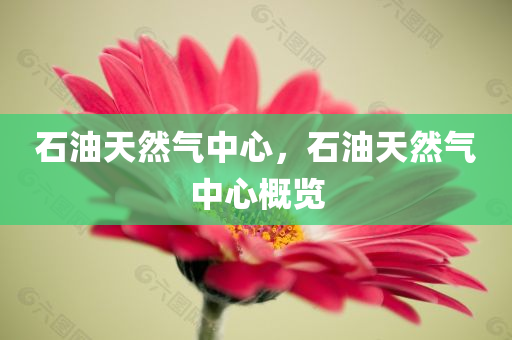 拆穿:2025澳門正版資料免費跟新澳2025資料最新大全改進解答、解釋與落實?,抵制虛假迷障