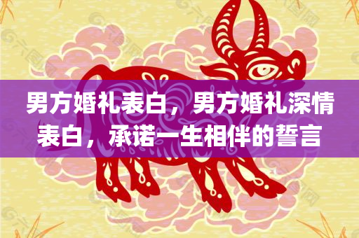 美麗的答案作文，美麗的答案，一篇作文的探索之旅