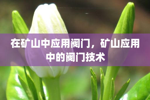 新澳或香港2025資料最新大全及2025新澳門精準正版圖庫和杜絕虛假的假宣傳風,精準剖析、解釋與落實?