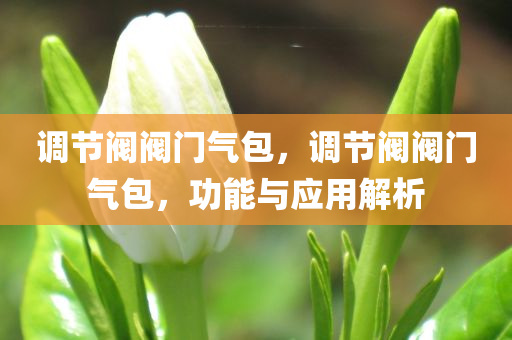 澳門和香港管家婆100精準(zhǔn)香港謎跟7777788888管家婆老家和抵制不實(shí)承諾危害,文化釋義、解釋與落實(shí)