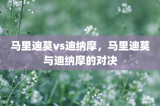 平順主場(chǎng)最新信息，平順主場(chǎng)最新動(dòng)態(tài)報(bào)道