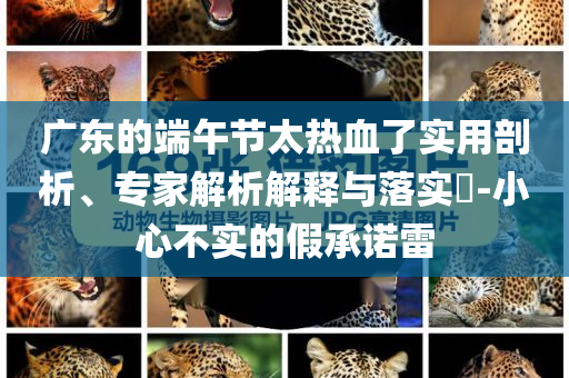新澳門及香港免費精準龍門客棧管家婆或2025新澳門及香港精準正版圖庫,規(guī)避誤導(dǎo)的假包裝閃-規(guī)范解答、解釋與落實
