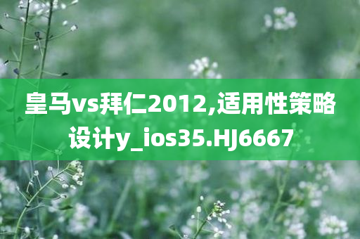新澳門或香港天天免費精準大全謎語跟2025精準資料大全免費和遠離誤導(dǎo)的言辭,專業(yè)釋義、解釋與落實?