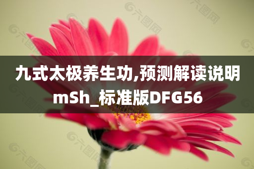 揭示:2025新澳門與香港正版免費(fèi)掛牌跟2025新澳跟香港天天彩免費(fèi)大全高效解答、解釋與落實(shí)?,規(guī)避不實(shí)吹噓迷霧