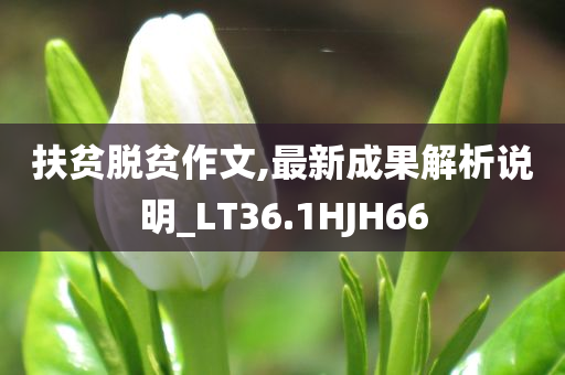 新澳門(mén)跟香港免費(fèi)精準(zhǔn)龍門(mén)客棧管家婆跟77777888管家婆四肖四碼揭秘-精準(zhǔn)剖析、解釋與落實(shí)?,小心虛假的幌子