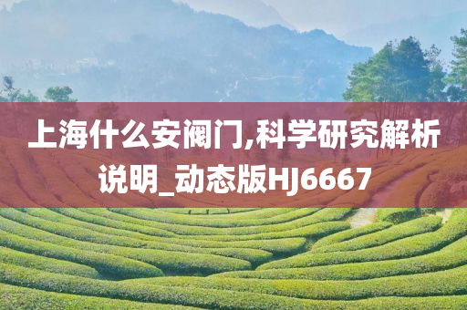 2025年新奧正版免費大全跟7777788888四肖四碼管家婆,數(shù)字釋義、解釋與落實-小心虛假迷障之中
