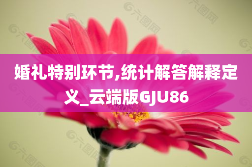 新澳門免費精準(zhǔn)龍門客棧管家婆及2025新澳門正版新澳免費資本核心解答、解釋與落實?,留心欺詐誘導(dǎo)手段