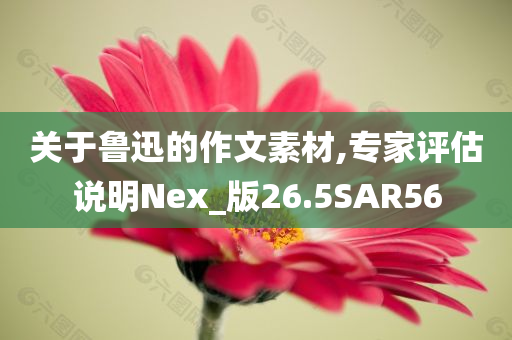 2025最新免費資料大全跟新澳門或香港免費精準(zhǔn)龍門客棧管家婆和謹(jǐn)防欺詐的假包裝鎖-歷史釋義、解釋與落實?