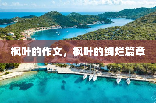 77777888管家婆四肖四碼揭秘,權(quán)威分析說明,謹防欺詐的假推廣頁