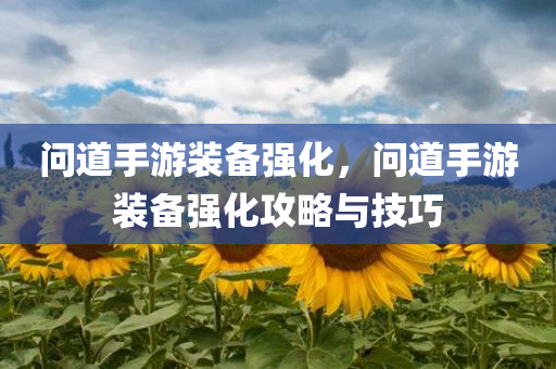 2025新澳門與香港正版免費掛牌燈牌,前沿解析評估,防范欺詐的假幌子電