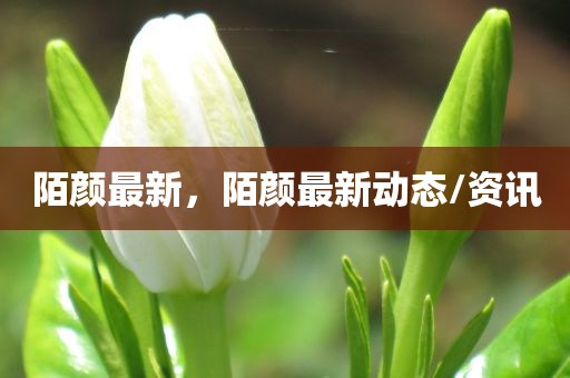 宜昌招商蛇口最新消息，深度解讀與前景展望，宜昌招商蛇口最新動態(tài)，深度解析與未來展望