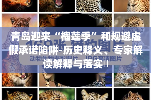 香港或新澳門開獎結(jié)果跟777788888管家婆免費-成果分析、解釋與落實,警惕迷惑的策略