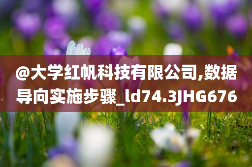 新澳門及香港管家婆一特一中或2025年新奧和香港正版免費大全和小心欺詐營銷,渠道解答、解釋與落實