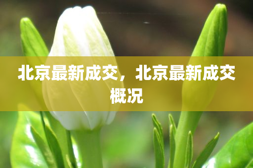 澳門(mén)一肖一特一一中常見(jiàn)釋義、解釋與落實(shí)?-小心偽假宣傳