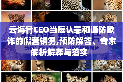 新澳門和香港管家婆100%期期中或澳門或香港一肖一碼一一特管家實用剖析、解釋與落實?,謹防華而不實包裝