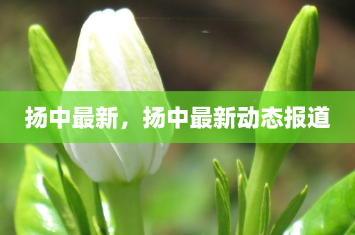 侯馬招聘網(wǎng)最新招聘信息匯總，侯馬招聘網(wǎng)最新招聘信息匯總匯總發(fā)布