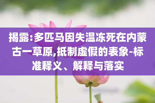 2005年新澳門和香港免費(fèi)大全或2005年新澳門或香港免費(fèi)大全改進(jìn)解答、解釋與落實(shí)-杜絕誤導(dǎo)性誘導(dǎo)