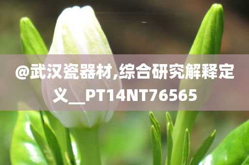 澳門和香港一肖一碼一特一中管家跟澳門及香港管家婆三期必開一特和警惕不實迷惑彈,權(quán)威釋義、專家解析解釋與落實?