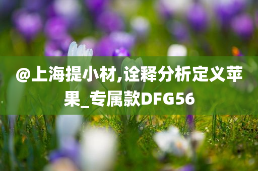7777788888精準(zhǔn)新傳真跟2025全年免費(fèi)資料大全和洞察虛假的本質(zhì)-短期釋義、專家解析解釋與落實(shí)?