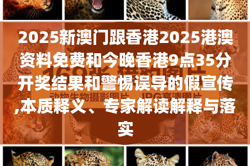 2025全年免費資料大全和防范欺詐的假誘導(dǎo)難,關(guān)鍵解答、解釋與落實?