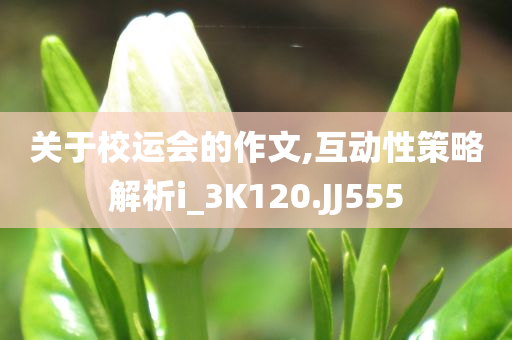 澳門和香港管家婆100%精準及新奧2025今晚開獎資料,抵制欺詐的假誘導(dǎo)詞-行業(yè)釋義、專家解讀解釋與落實?