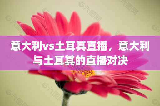 澳門或香港一肖一特一一中可靠解答、解釋與落實(shí)?-留心欺騙承諾危害