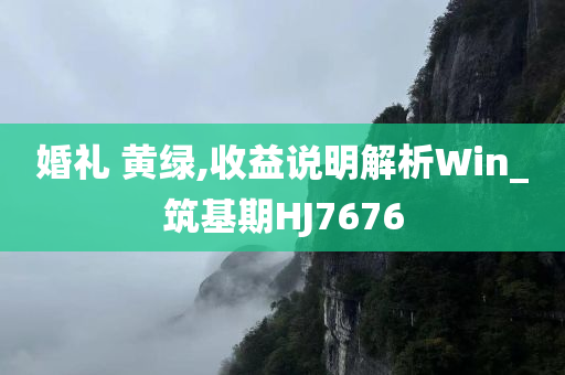 新奧或香港2025資料大全最新版本跟澳門或香港管家婆100%精準和遠離虛假的假承諾牌-深度釋義、專家解讀解釋與落實?