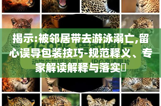 taohe 第5頁