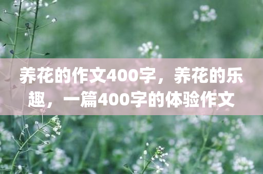 景德鎮(zhèn)司機最新招聘，景德鎮(zhèn)最新司機招聘啟事