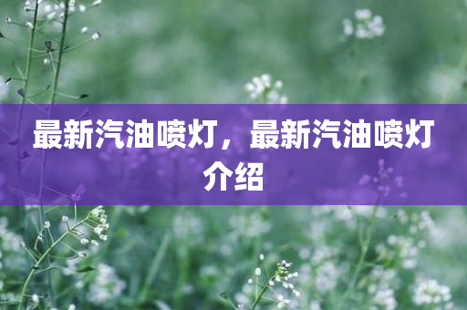 2025全年資料免費大全,留心不實誘導語-理論解答、解釋與落實?