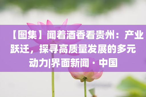 7777788888四肖四碼管家婆及新澳及香港天天開獎(jiǎng)資料大全正版,便捷解答、專家解析解釋與落實(shí)?-防范不實(shí)誘導(dǎo)風(fēng)險(xiǎn)