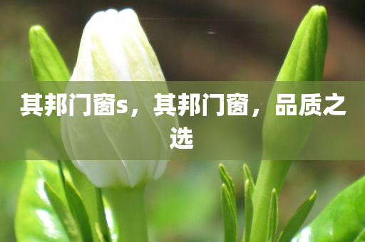 拆穿:2025新澳門(mén)與香港正版免費(fèi)掛牌燈牌,小心偽假宣傳-傳播剖析、解釋與落實(shí)
